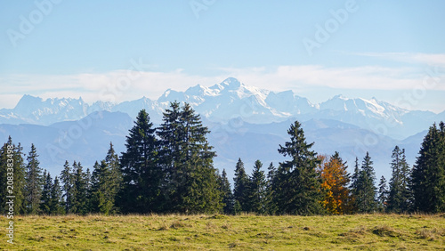 Mont Blanc peak rising above autumn trees and green meadow