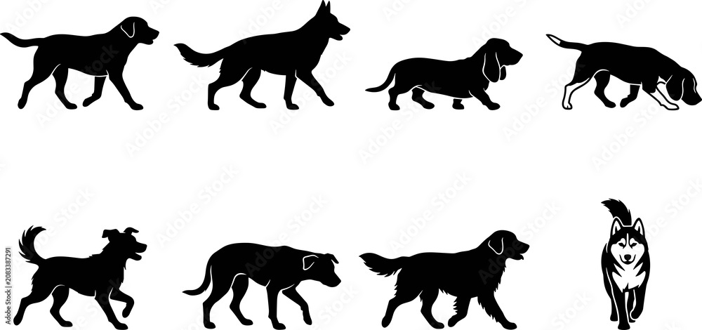 Obraz premium Black dog silhouettes of popular breeds including Labrador, German Shepherd, Collie, and Husky in standing and sitting poses