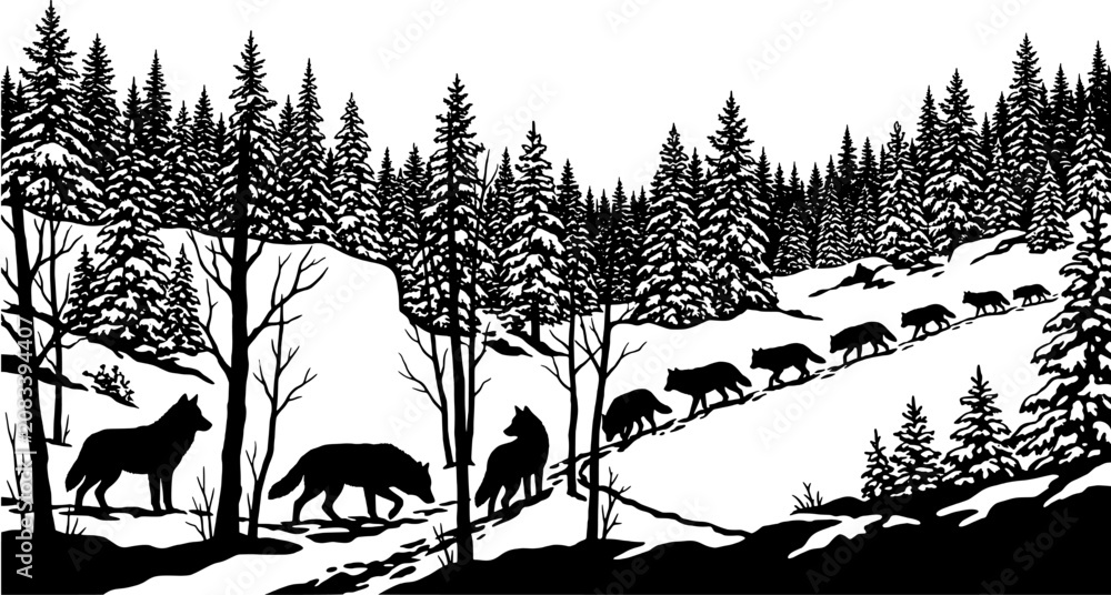 Naklejka premium Pack of wolves walking in a snowy coniferous forest. Silhouette illustration featuring a winter landscape with pine trees on a white background.