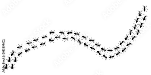 Bild auf Leinwand Ants march in a line vector, Element for design isolated on white background