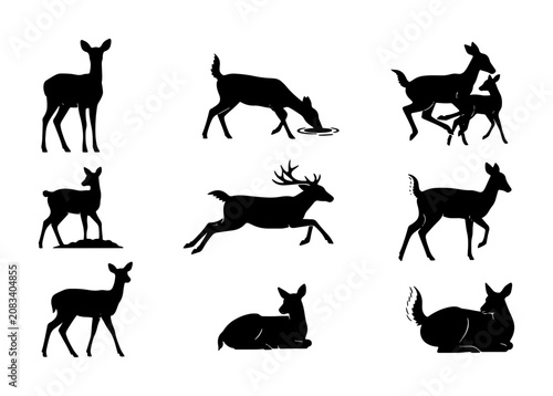 Photography Deer Silhouettes Collection: Majestic Wildlife Poses, Forest Animals Vector Art,