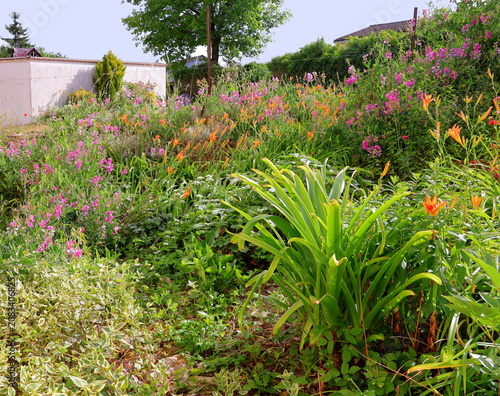 Schilderij op canvas jardin très fleuri