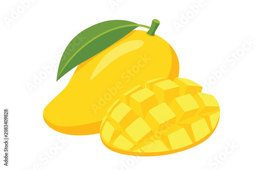 Mango tropical fruit vector illustration. isolated on white background. 
