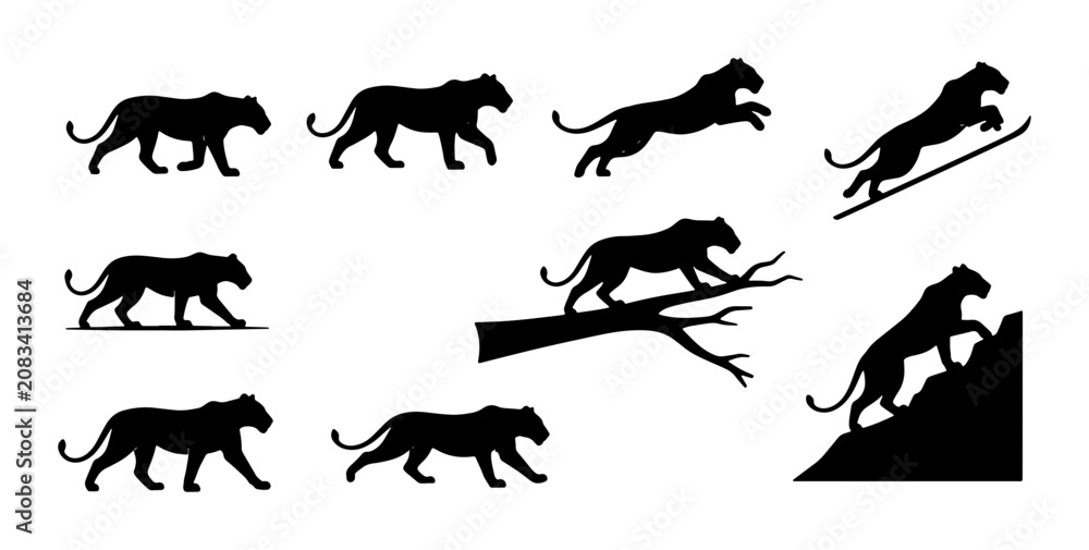 Fototapeta premium Black Panther Silhouette Collection, Dynamic Animal Poses Vector Set, Wildlife Predator Action Graphics, Jungle Cat Movement Illustrations