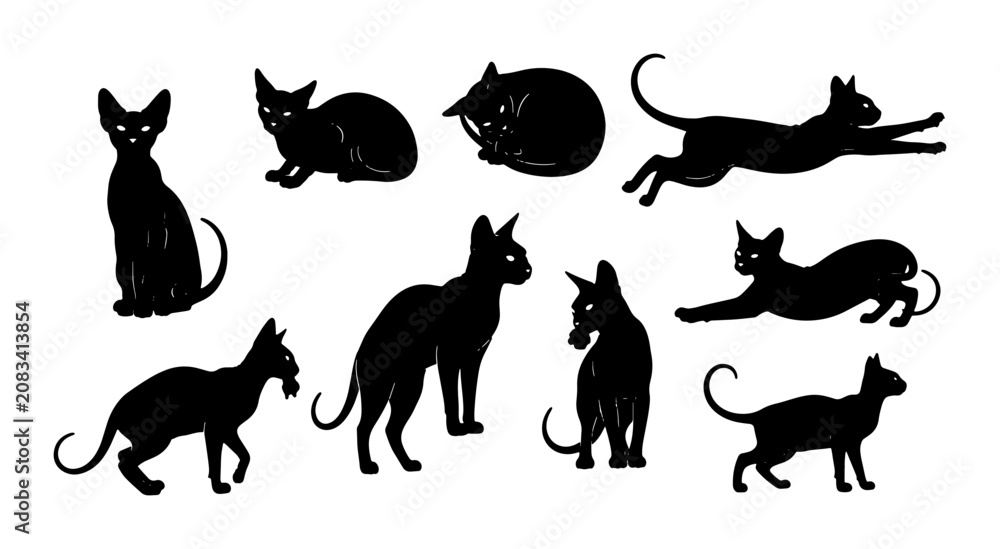 Obraz premium Black Cat Silhouettes Collection, Elegant Feline Poses Vector Set, Minimalist Animal Graphics for Design