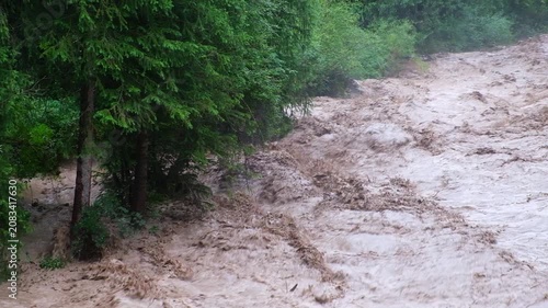 Flash flood and mudflow in Turgen Gorge, Almaty region, Kazakhstan. Fast flowing muddy river in mountain forest, suitable for news, environmental reports, or natural disaster background.