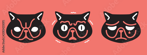 Black cat expressions