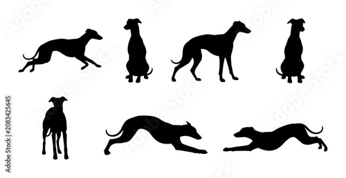 Bild auf Leinwand Elegant Greyhound Dog Silhouettes, Set of 7 Vector Poses, Athletic Canine Animal