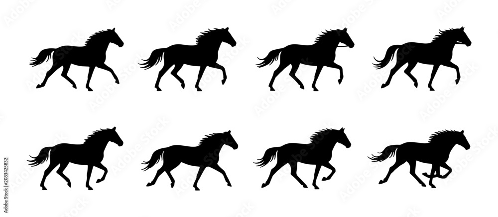 Fototapeta premium Horse Silhouette Animation Frames, Galloping Equine Motion Sequence, Black Animal Vector Art