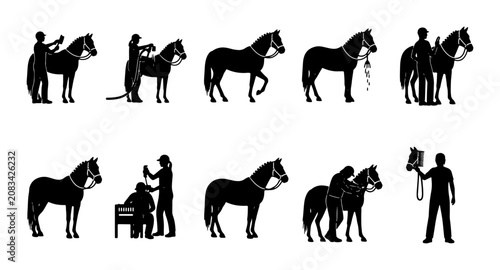 Bild auf Leinwand Horse Care Silhouettes, Equestrian Activities Set, Animal Grooming and Riding Ic