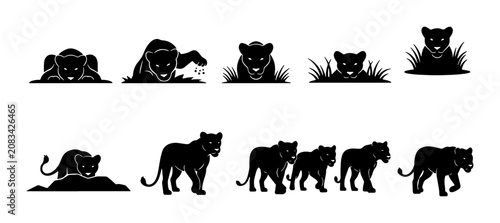 Obraz na płótnie Black Panther Vector Silhouettes: Cub and Adult Poses, Jungle Wildlife Collectio