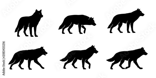 Canvastavla Wolf Silhouettes Set, Canine Animal Poses, Wild Predator Vector Graphics, Black