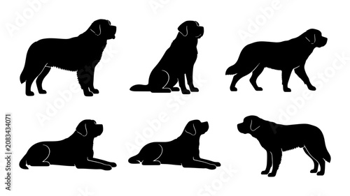 Newfoundland Dog Silhouettes, Six Poses Vector Set, Black Canine Graphics for Pet Lovers and Animal Design Projects