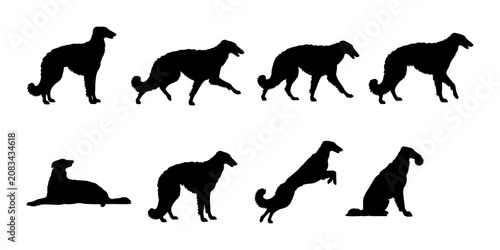 Elegant Dog Silhouettes Collection, Borzoi Breed Poses, Black Vector Graphics for Pet Lovers and Design Projects