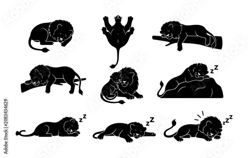 Black Lion Silhouettes, Sleeping & Relaxing Poses Vector Set: Majestic Feline Wildlife Illustrations for Design Projects