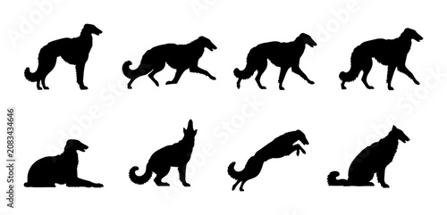Foto Elegant Dog Silhouettes Collection: Graceful Poses, Canine Actions, and Breed Va