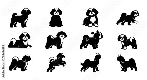 Shih Tzu Dog Silhouettes, Adorable Pet Poses Vector Set, Black and White Canine Icons for Design