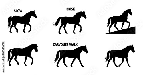 Horse Gaits Vector Silhouettes: Slow, Brisk, Uphill, Standard Walk, Canter, Trot Sequences for Equestrian Education and Design