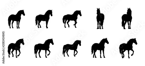 Canvastavla Horse Silhouette Collection, Equine Poses Vector Pack, Black Animal Graphics for