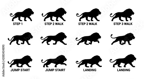 Photography Lion Animation Sequence Vector Icons, Majestic Animal Silhouette Motion Graphics