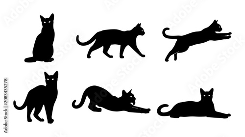 Obraz na płótnie Black Cat Silhouettes, Feline Poses Vector Set, Domestic Animal Icons, Elegant C