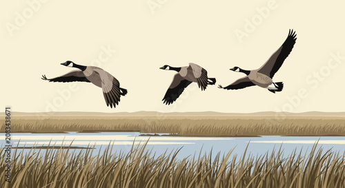 Flat vector illustration of three Canada geese flying over a marshland wetland with tall brown reeds and calm water under a neutral cream sky during seasonal bird migration.