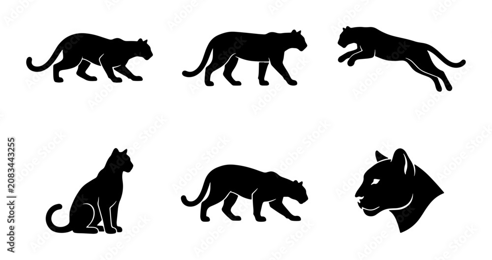 Obraz premium Black Panther Silhouettes Vector Set, Wild Cat Poses Collection, Feline Animal Icons for Graphic Design
