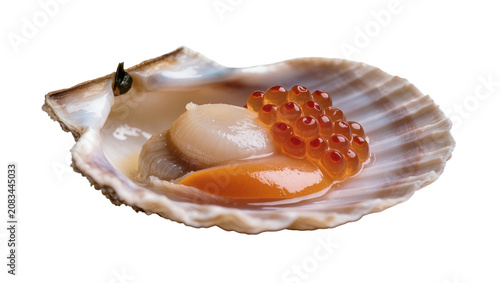 Bild auf Leinwand Scallop with roe and coral in shell