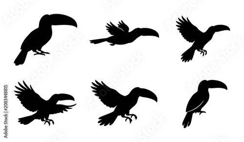 Quadro su tela Toucan Silhouettes Collection, Tropical Bird Vector Icons, Exotic Wildlife Graph
