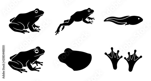 Fotografie Frog Life Cycle Vector Icons, Amphibian Stages Silhouette Set, Tadpole to Adult