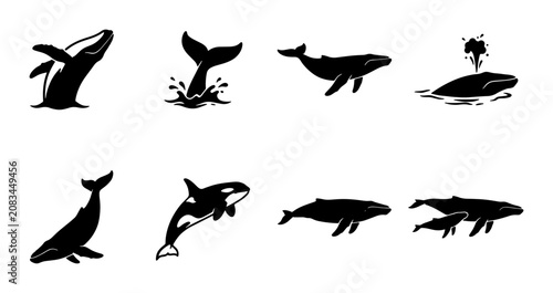 Whale Vector Icons Set, Marine Mammal Silhouettes, Ocean Wildlife Graphics, Aquatic Animal Illustrations