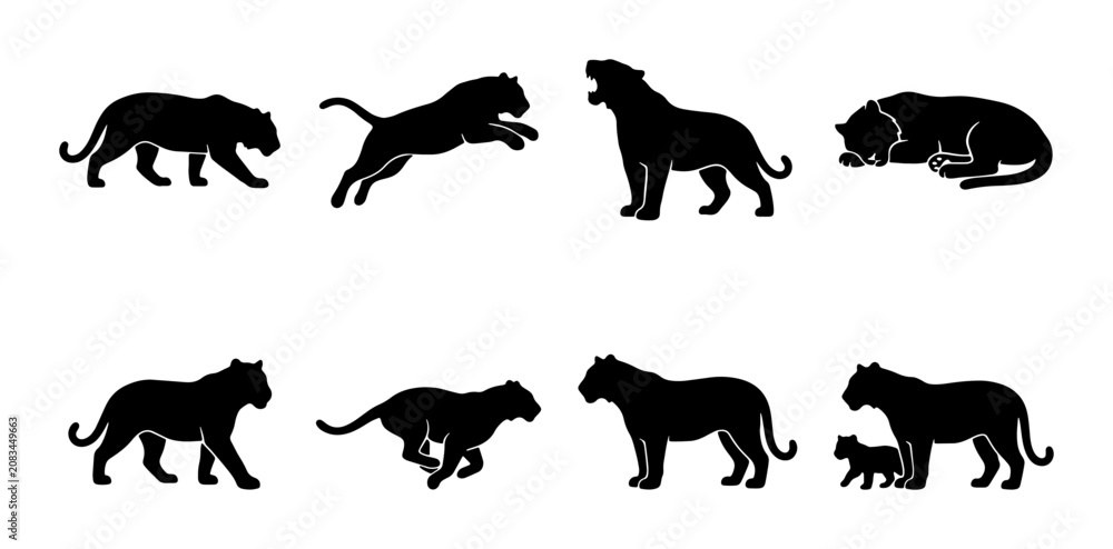 Obraz premium Silhouette Big Cat Vector Pack: Majestic Lions, Tigers, Panthers in Dynamic Poses, Animal Icons for Wildlife Design