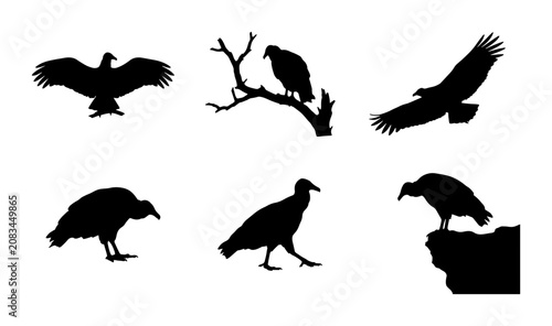 Bild auf Leinwand Vulture Silhouettes Collection, Bird Vector Graphics, Wildlife Icons, Nature Ele