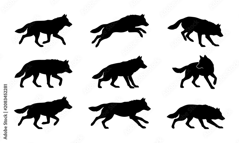Obraz premium Wolf Silhouette Collection, Canine Animal Poses, Wild Predator Motion Graphics, Vector Pack for Nature and Wildlife Designs