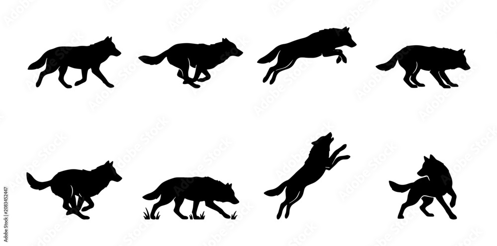 Obraz premium Wolf Silhouette Animation Sequence, Running, Jumping, Howling, and Standing Vector Icons. Wild Animal Motion Graphics Set.