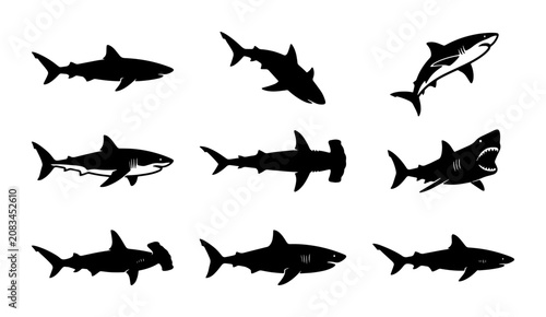 Diverse Shark Silhouettes Collection, Marine Predator Vector Icons, Ocean Wildlife Graphic Elements, Predatory Fish Illustrations
