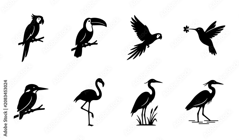 Fototapeta premium Diverse Bird Silhouettes Collection, Tropical Parrot, Toucan, Hummingbird, Flamingo, Heron, Kingfisher Icons, Vector Graphics for Nature and Wildlife Designs