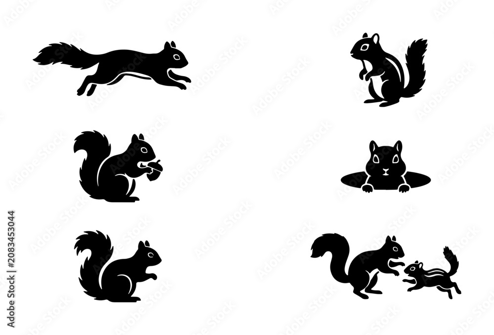 Obraz premium Black Squirrel Silhouettes Vector Set, Woodland Creature Poses, Cute Rodent Icons for Wildlife Design, Nature Graphics