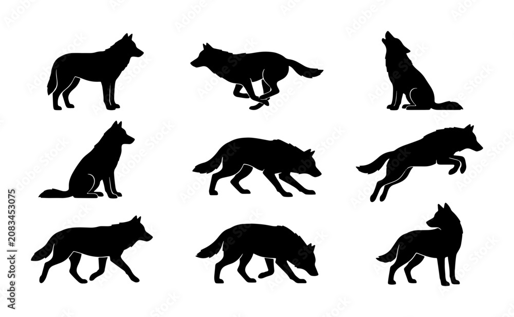 Fototapeta premium Wolf Silhouettes Collection, Dynamic Animal Poses Vector Set, Wild Canine Graphic Elements, Howling and Running Wolf Icons