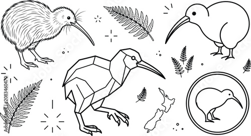 Quadro su tela New Zealand kiwi bird line art vector icon set with silver fern leaves geometric