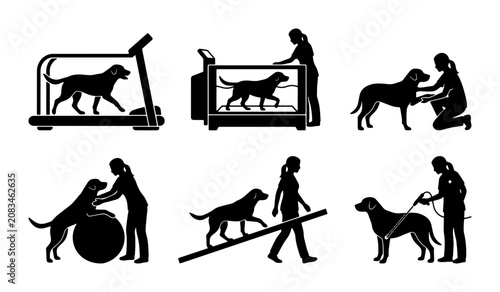 Obraz na płótnie Dog Training and Rehabilitation Icons: Agility, Treadmill, Therapy, Exercise, Fi