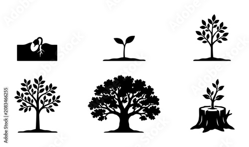 Konstfotografi Tree Growth Stages Vector Icons: Seedling to Mature Oak, New Sprout from Stump,