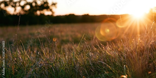 Golden sunbeams stream across a tranquil field at dusk