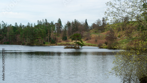 Tarn Hows lake in the Lake District, UK. The lake is surrounded by wooded slopes