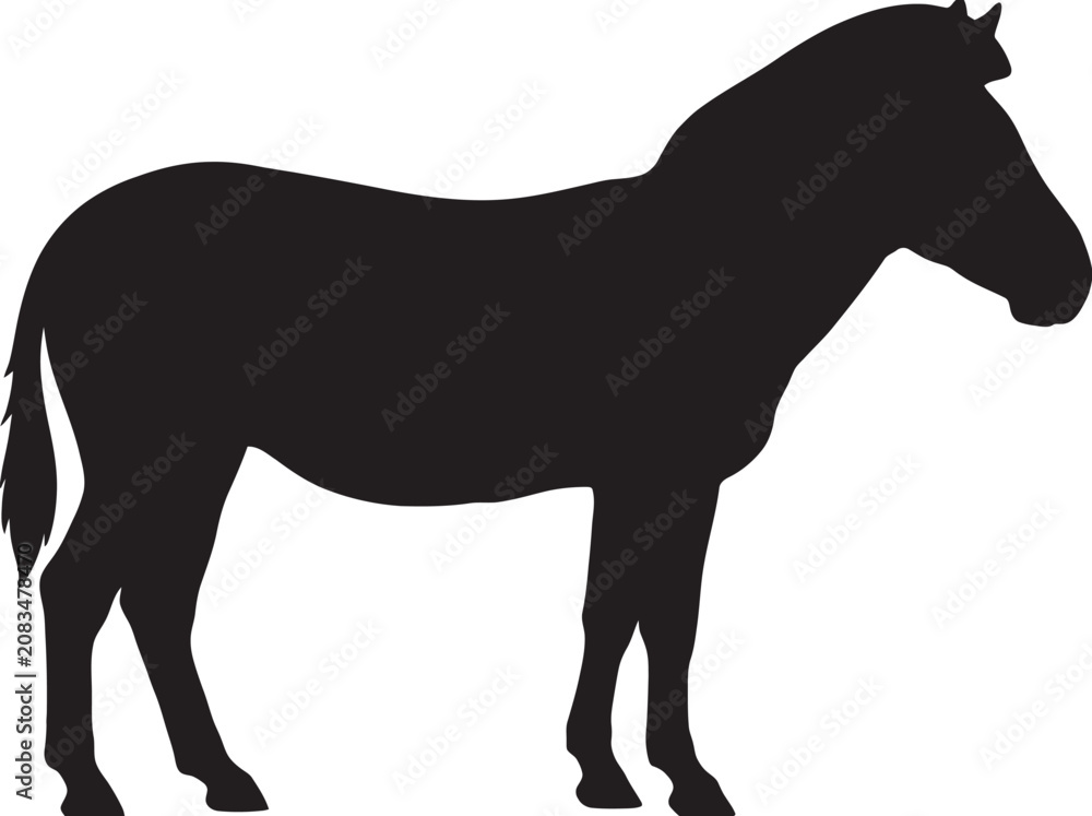 Fototapeta premium Black silhouette of a standing zebra on white background with silhouette wildlife isolated