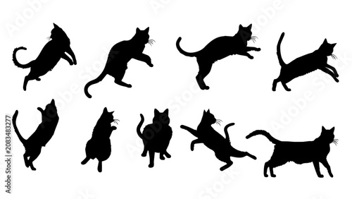Cat Silhouettes Set in Various Playful and Hunting Poses