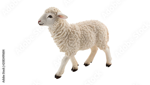 Foto Live domestic white lamb sheep farm livestock animal isolated on a transparent b
