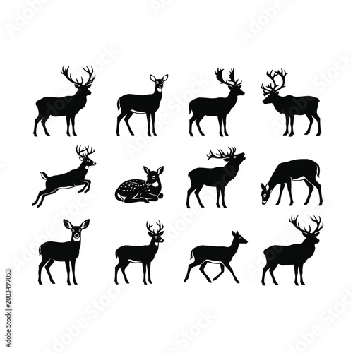 Deer silhouettes set buck stag doe fawn wildlife forest animals icon collection bundle for outdoor hunting camping graphic design, vector illustration