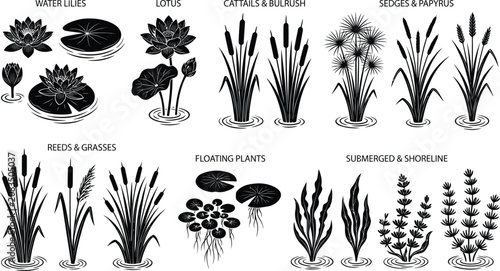 Tableau sur toile Aquatic Wetland Pond Plant Silhouette Collection Botanical Vector Elements Premi