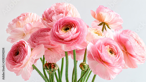 Elegant spring floral arrangement. A delicate bouquet of soft pink ranunculus flowers in full bloom, with lush, layered petals and fresh green stems, isolated against a light pastel background.